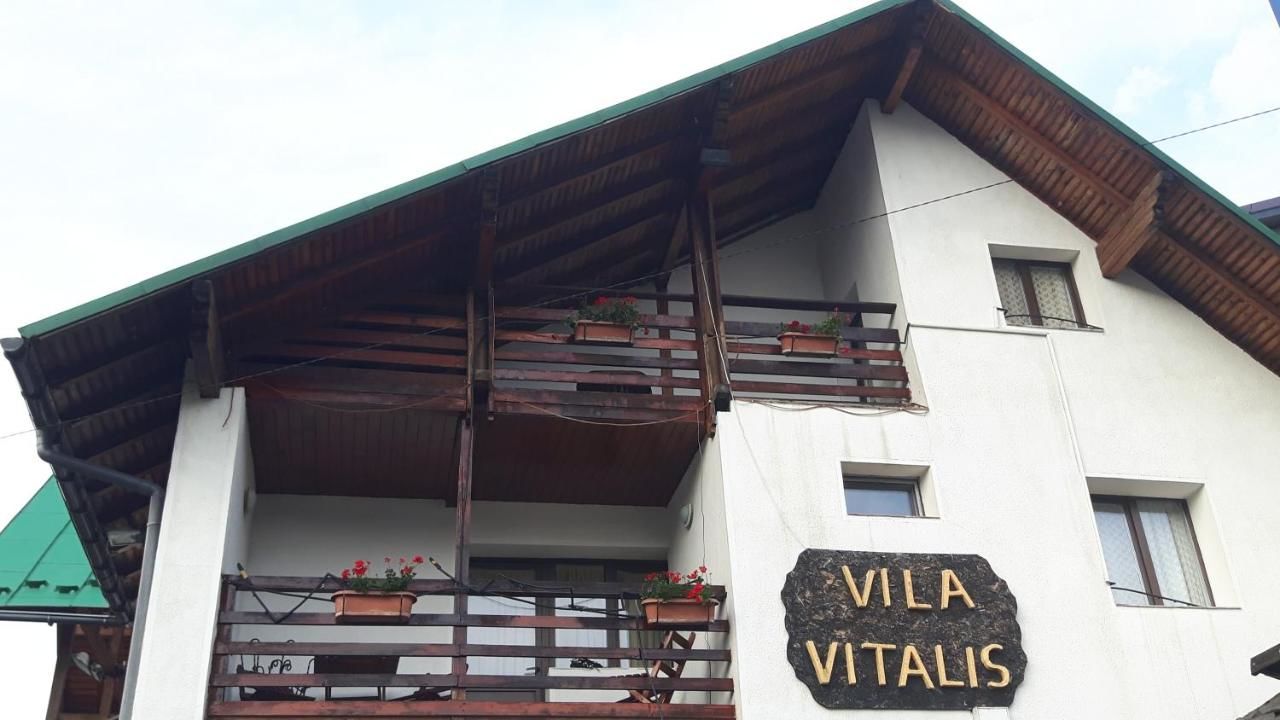 Гостевой дом Vila Vitalis Предял-28